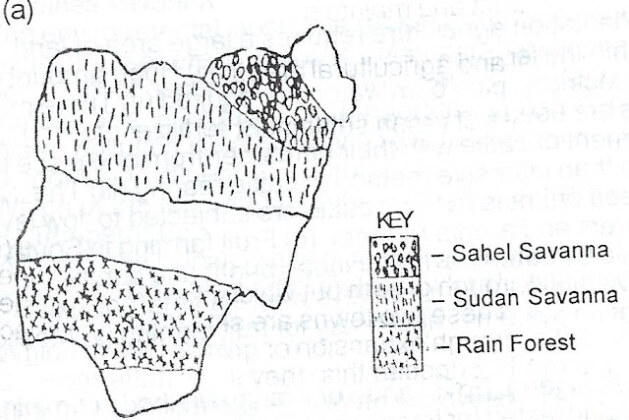 NECO Human & Regional Geography Answers Friday 4th July 2025